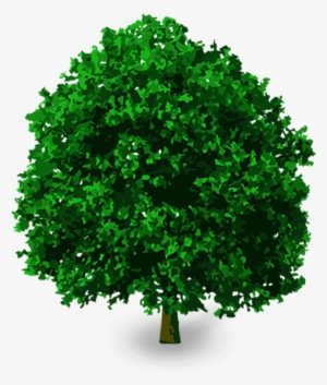 Clip Art, Youtube Thumbnail, Tree Images, 3d Tree, - Portable Network Graphics