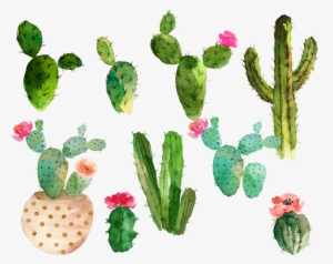 Svg Royalty Free Library Cactaceae Watercolor Painting - Cactus With Flowers Watercolor