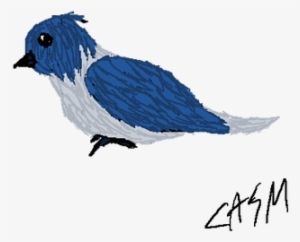 Drawingbird Explore On Deviantart - Drawing