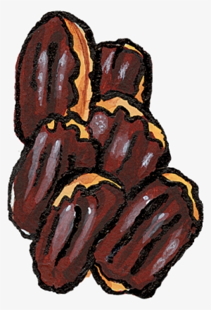 Eclairs - Illustration