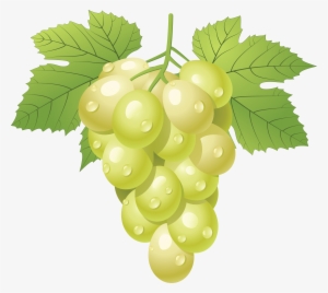 Grape Icon Png - Day On The Green 2010