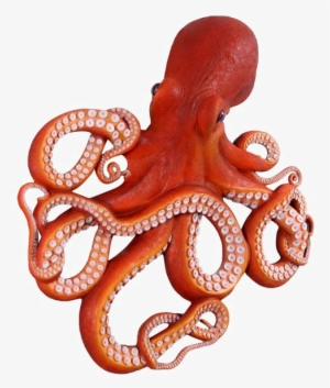 Octopus Png Clipart - Octopus Image In Png