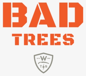 Wts Bad Trees - Wildwood Tree Service