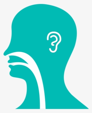 Ear, Nose, Throat Illustration - Ear Nose And Throat Logo