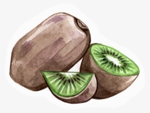 Fruit & Veg - Kiwifruit