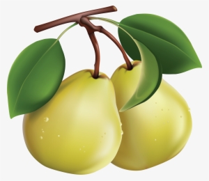Pear Png Image - Clipart Images Of Pears