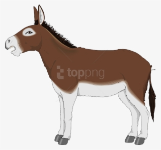 Drawing Donkey Mule Picture Royalty Free - Donkey Clipart