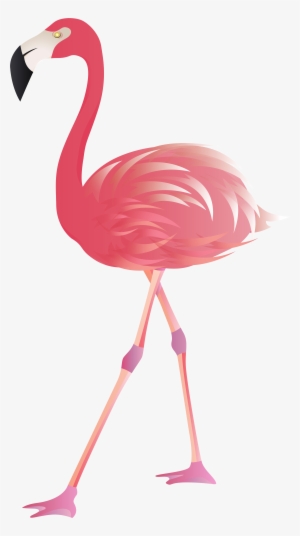 Transparent Background Flamingo Clipart