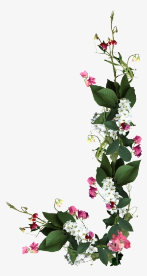 Ramos E Flores Png