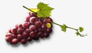 Grape Png Image Download, Free Picture - Skin