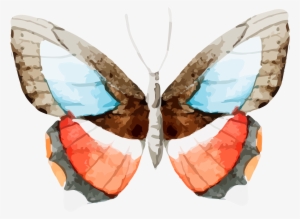 Set Of Free Butterfly Cu Ok Pretty