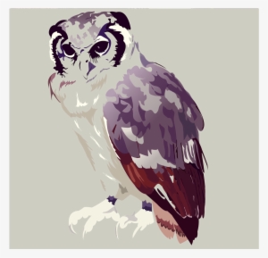 Clip Free Download Osprey Drawing Watercolor - Drawing