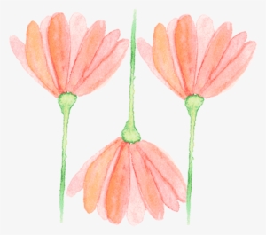 Popupflower - Portable Network Graphics