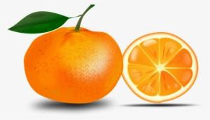 Clipart Free Download Slice Of An Orange Printables - Free Clip Art Orange