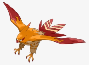 ♥inori♥ (m) @ Life Orb Ability - Talonflame Shiny Png
