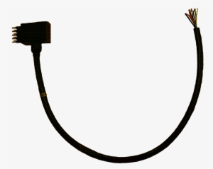 9-pin Whip - Transparent Black And White Whip