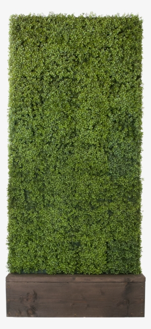 Boxwood Hedge Shrubs Artificial Png - Information