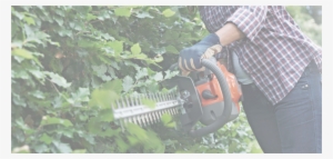Hedge Trimmers