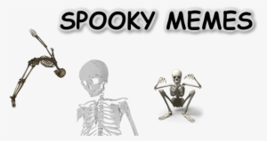 Meme