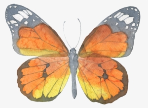 Brown Butterfly Watercolor Transparent Decorative Pattern - Butterfly Watercolor