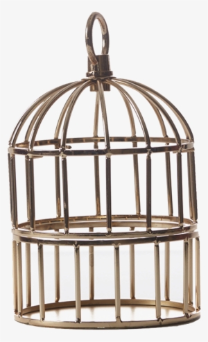 Cage Png