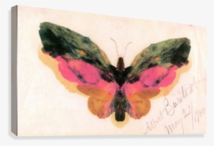 Butterfly By Bierstadt Canvas Print - Albert Bierstadt Butterfly Art Print Poster 19 X 13in