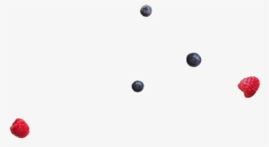 Need Some Help Finding The Perfect Fit For The Wellness - Bowls