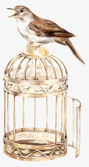 Bird Cage Transparent Background Png