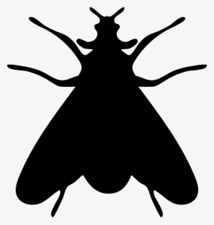 Moth Insect Shape Comments - Fly Silhouette Png