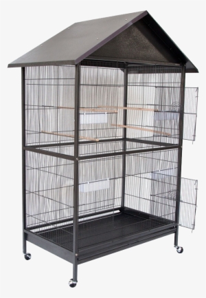 Large Parrot Cockatiel Parakeets Canary Finch Bird