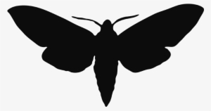 Bass Transparent Moth Banner Transparent - Moth Silhouette