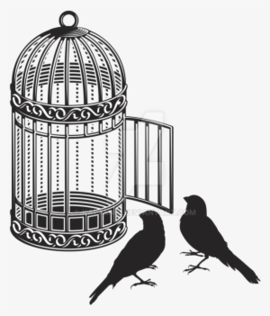 Birdcage Shower Curtain