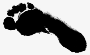 Png Onlygfx Com - Footprint Png