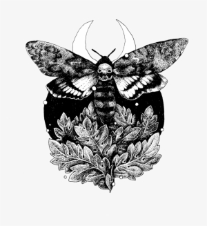 Deathhead Moth