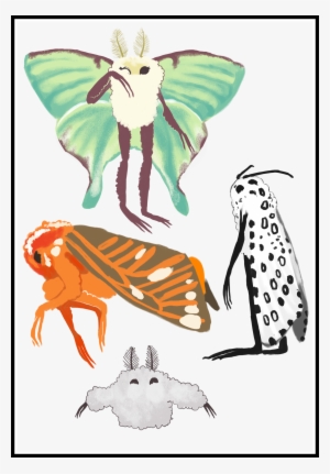 Moth Clipart Transparent Tumblr - Drawing