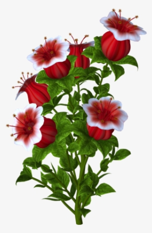 Pin By Fatma Özbulal On Çiçekler - Flower