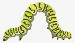 Caterpillar Png Transparent