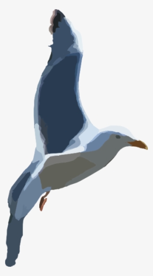 How To Set Use Seagull Clipart