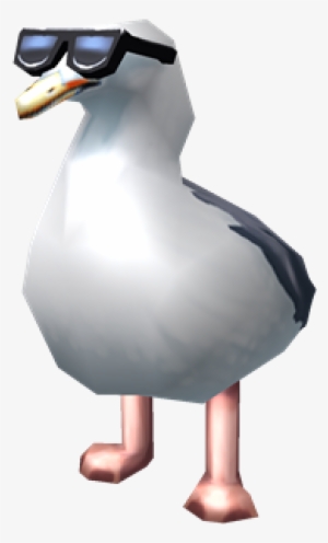 Too Cool Seagull - Portable Network Graphics