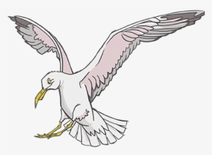 Seagull - Portable Network Graphics