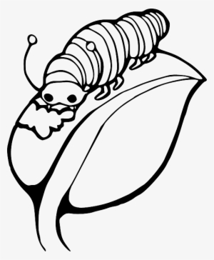 Black, Worm, Outline, Leaf, White, Cartoon, Caterpillar - Caterpillar On A Leaf Clipart
