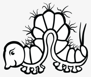 , , - Line Drawing Of A Real Caterpillar