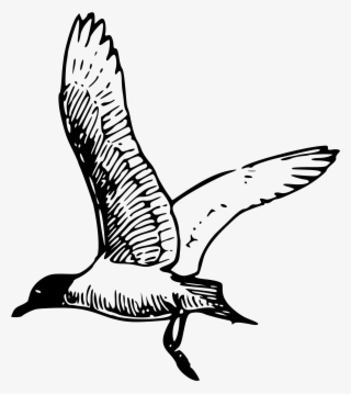Clip Art