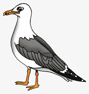 Sea Bird Clipart Seagull - Sea Gull Clip Art