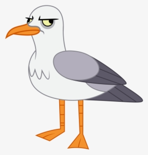 seagull png free hd seagull transparent image pngkit seagull png free hd seagull