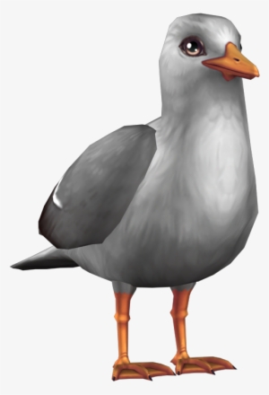 Dapper Seagull - Star Stable