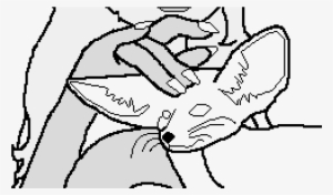 Colors Download Play Replay Settings - Line Art