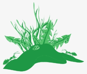 Mb Image/png - Ants Clip Art