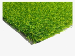 Fake Grass Png Hd - Artificial Turf
