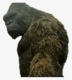King Kong Png